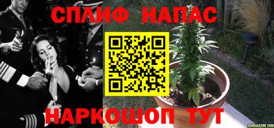 СК Коммунар