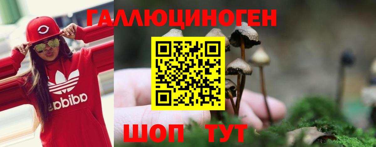 сколько стоит  Псилоцибиновые грибы MAGIC MUSHROOMS  Вход с VPN  Коркино 